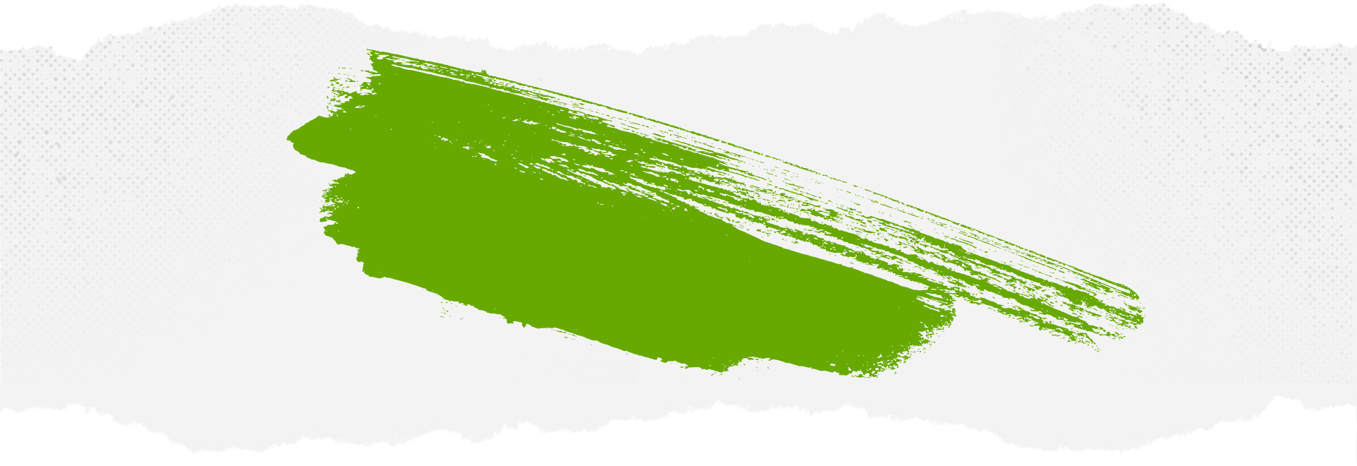 bg_slider_shaffron bg szafran